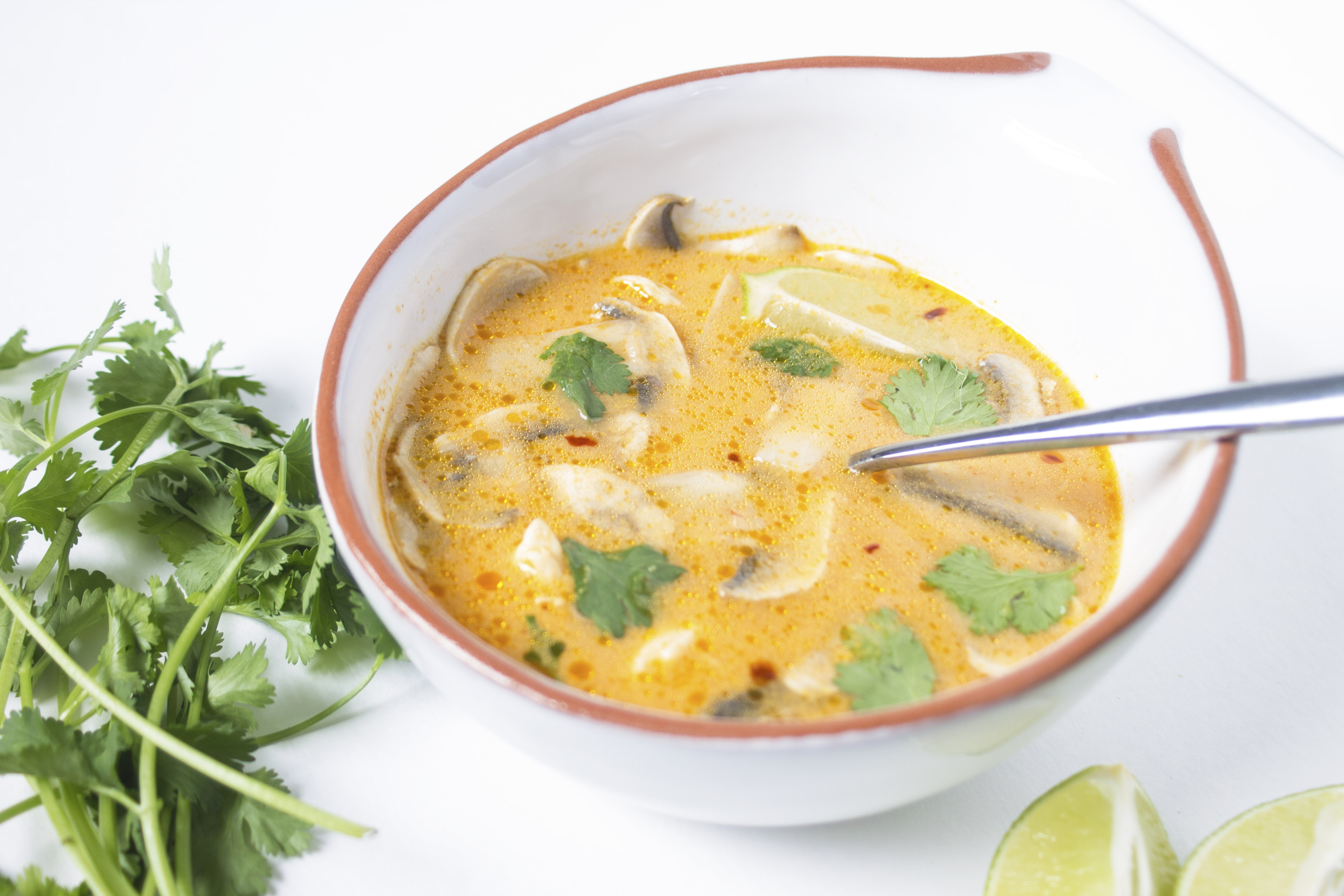 tom kha gai- coconut chicken soup