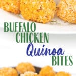 photo collage of buffalo chicken quinoa bites on a white plate and baking pan