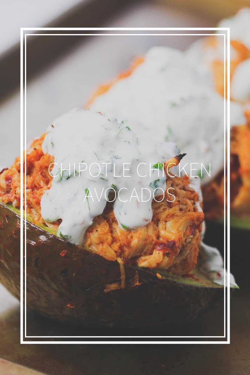 Chipotle Chicken Avocados