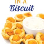 white plate of mini biscuit cups with chicken with a bowl of gravy