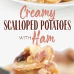 photo collage of a fork full of creamy scalloped potatoes with ham and a cheese sauce and a plate of the same