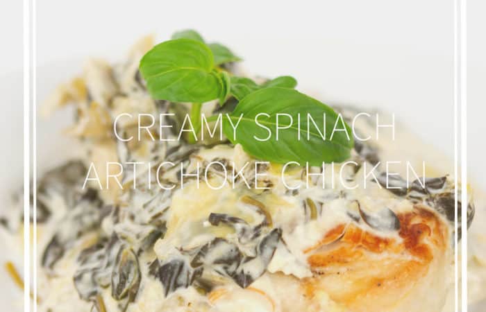 white plate of a browned chicken breast with creamy spinach and artichoke sauce with basil leaves on top
