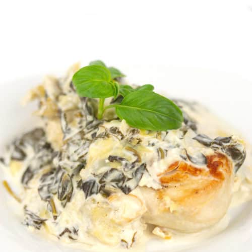 white plate of a browned chicken breast with creamy spinach and artichoke sauce with basil leaves on top