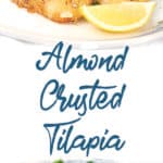 photo collage of a white and blue plate with almond crusted tilapia with a lemon slice and spinach