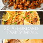 photo collage of 20 affordable family meals