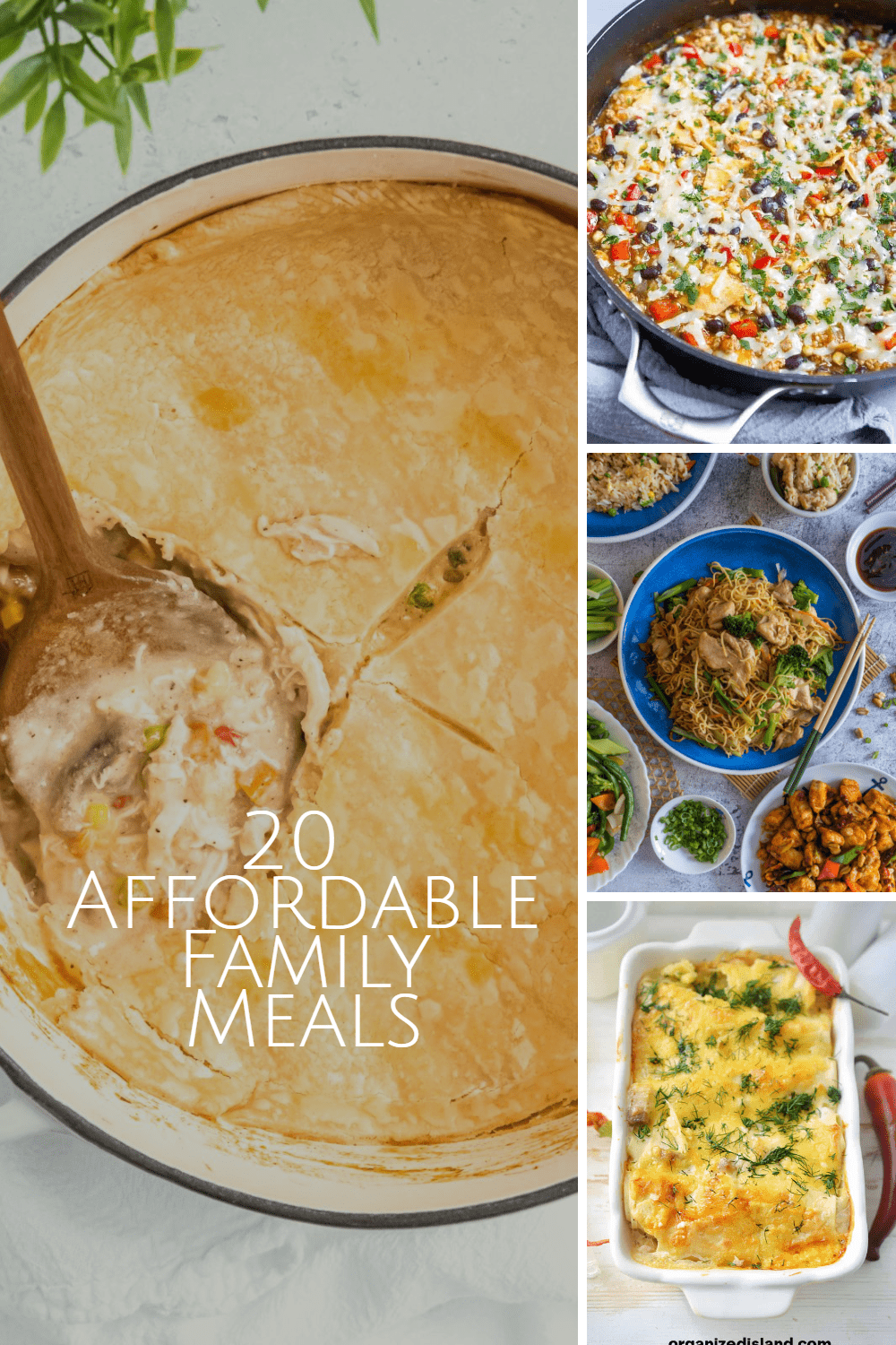 20 Affordable Family Meals